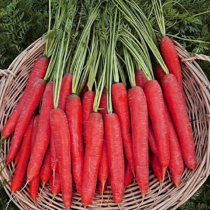 image_1
