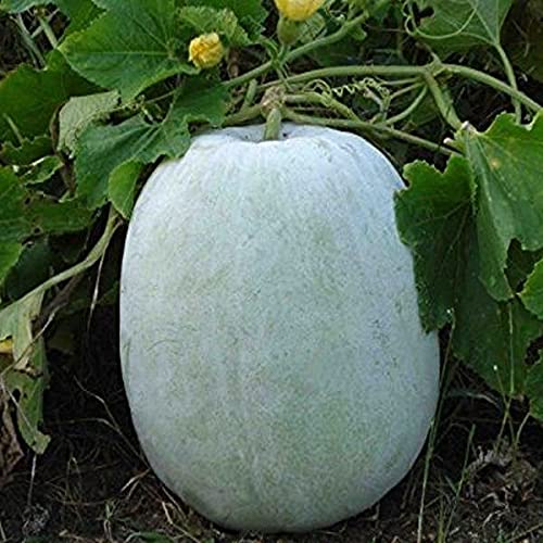 image_15