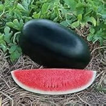 water_melon